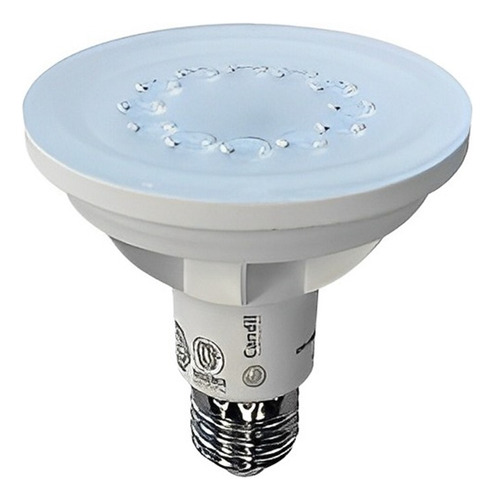 Lámpara High Power PAR30 uso comercial 6500K